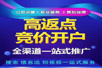 金融行业SEM外包广告的投放策略及效果
